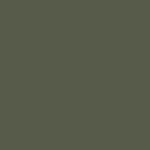 painted - khaki green