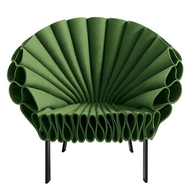 Cappellini Peacock Chair