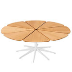 shultz petal coffee table by Richard Schultz for Knoll